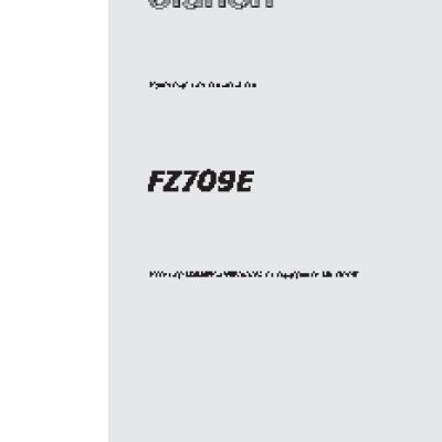 CLARION FZ709E