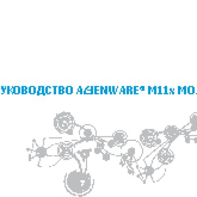 DELL Alienware M11xR2