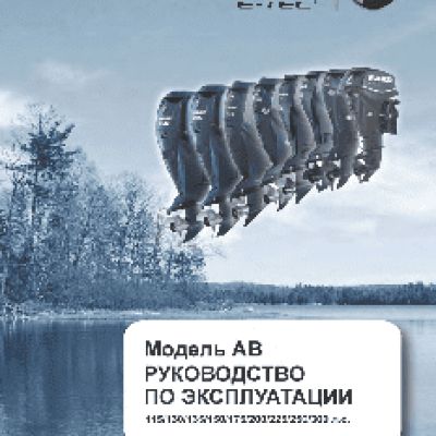 EVINRUDE AB 115 л.с (2013)