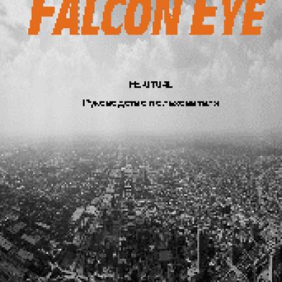 FALCON EYE FE-0704L