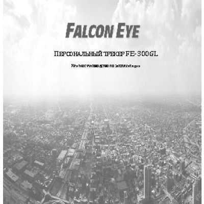 FALCON EYE FE-300GL