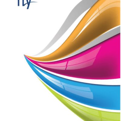 FLY IQ4413 EVO Chic 3