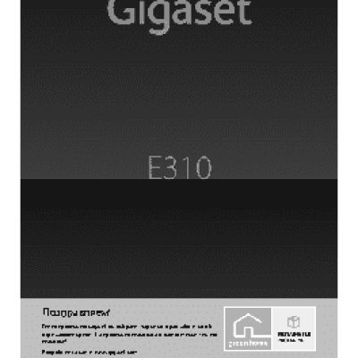GIGASET E310