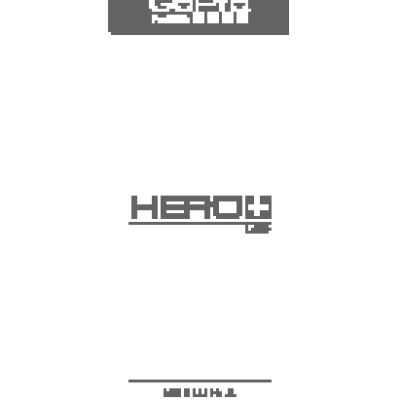 GOPRO HERO+LCD
