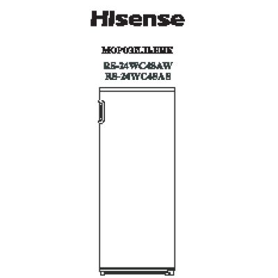 HISENSE RS 24WC4SAS