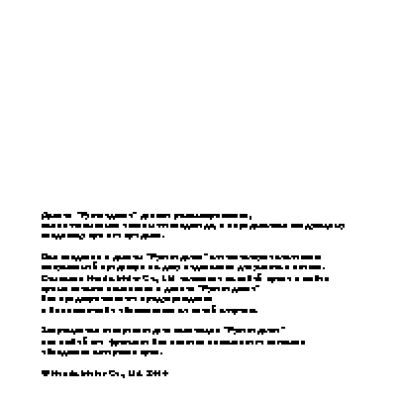 HONDA TRX400FA (2004)