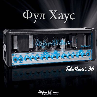 HUGHES & KETTNER TUBEMEISTER 36 HEAD