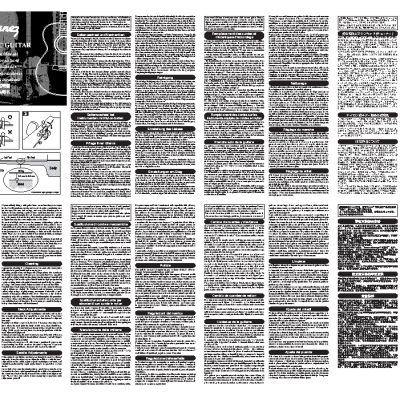 IBANEZ Acoustic Guitars (2007)