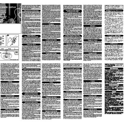 IBANEZ Acoustic Guitars (2010)