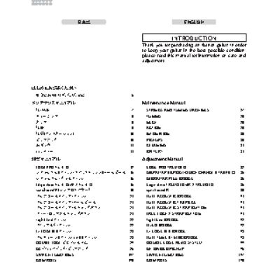 IBANEZ Electric Guitars (2008) (Prestige)