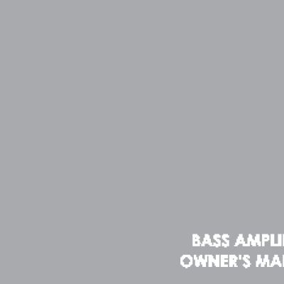 IBANEZ P300H/3110/3115