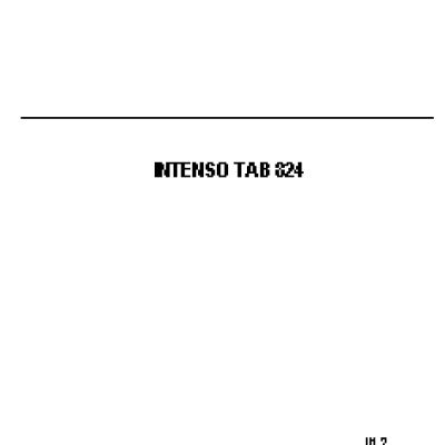 INTENSO 8 TAB 824