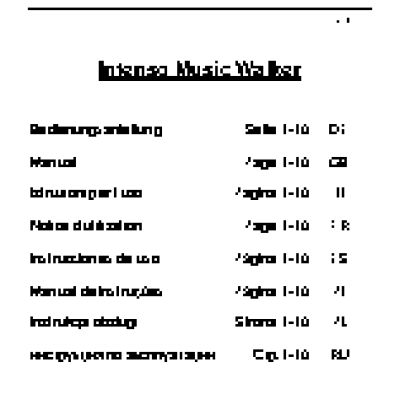 INTENSO Music Walker