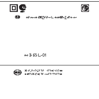 ИНТЕРСКОЛ МП-65Э-01