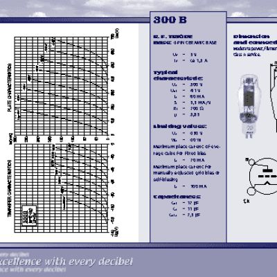 JJ ELECTRONIC 300B (matched)