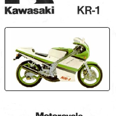 KAWASAKI KR250