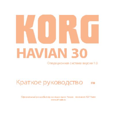 KORG HAVIAN 30