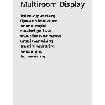 LOEWE Multiroom Display