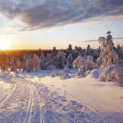 LYNX Rave RS 600 (2013)