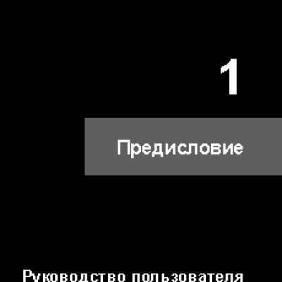 MSI GP70 2PE-476RU Leopard