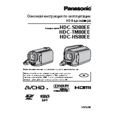 PANASONIC HDC-TM80