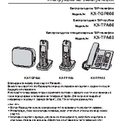 PANASONIC KX-TGP600RUB