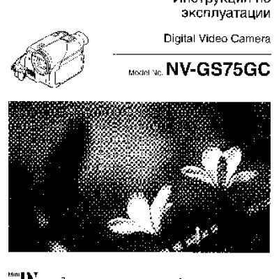PANASONIC NV-GS75GC
