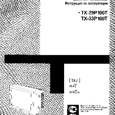 PANASONIC TX-29P100T