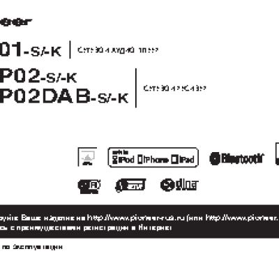 PIONEER N-P01