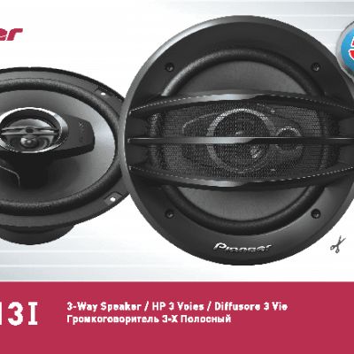 PIONEER TS-A2013I