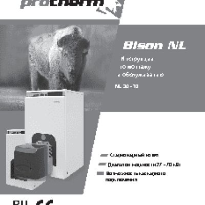 PROTHERM Бизон 35NL