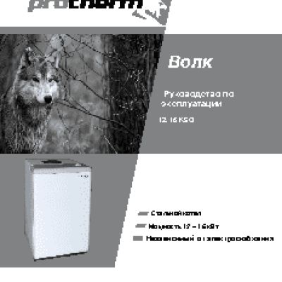 PROTHERM Волк 12KSO