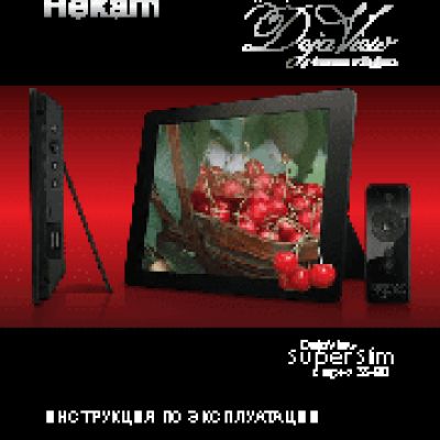 REKAM DejaView SS80x