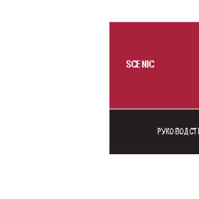 RENAULT SCENIC (2013)