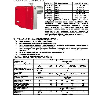 RIELLO GULLIVER BSD 3