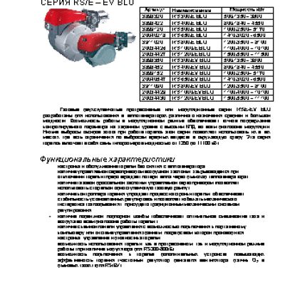 RIELLO RS EV BLU 1000