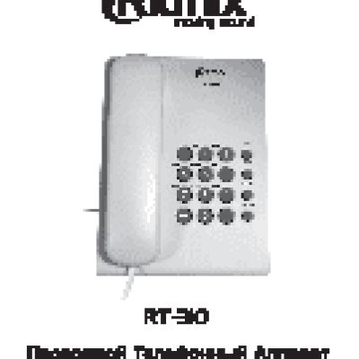 RITMIX RT-310