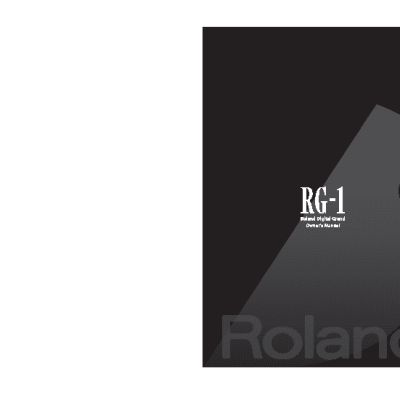 ROLAND RG-1-SB
