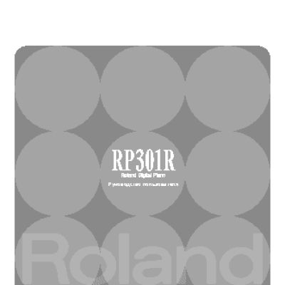ROLAND RP-301R