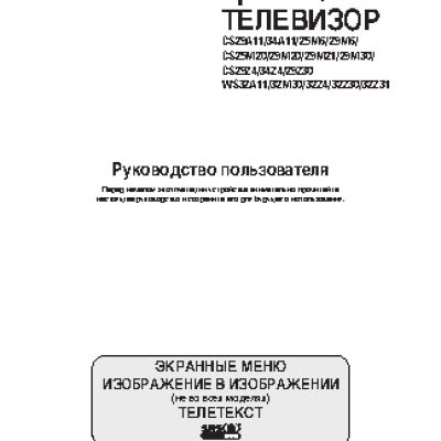 SAMSUNG CS-25M20 SPQ