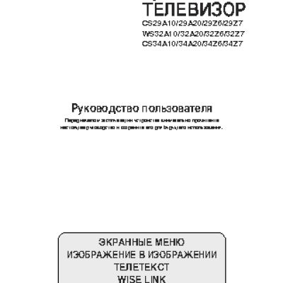 SAMSUNG CS-29A10 X1Q