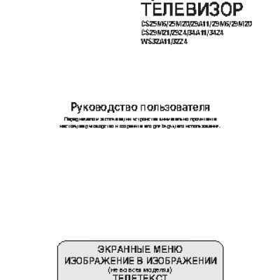 SAMSUNG CS-29A11 SSQ