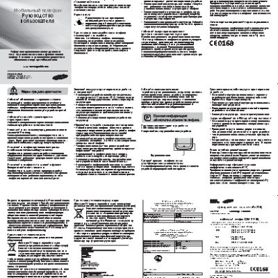 SAMSUNG E2100 (GT-E2100)