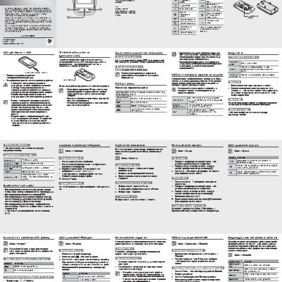 SAMSUNG GT-C3262 Champ Neo Duos