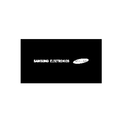 SAMSUNG S9402 (GT-S9402)