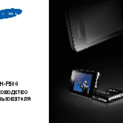 Samsung SGH-F500