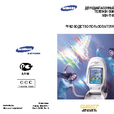 Samsung SGH-T100