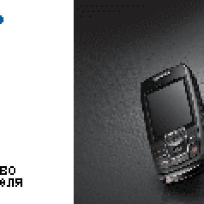 Samsung SGH-E250