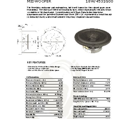 SCANSPEAK 18W/4531G00