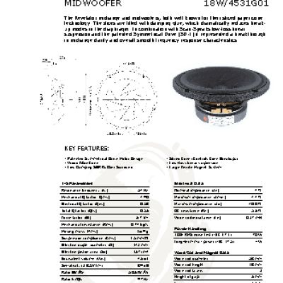SCANSPEAK 18W/4531G01